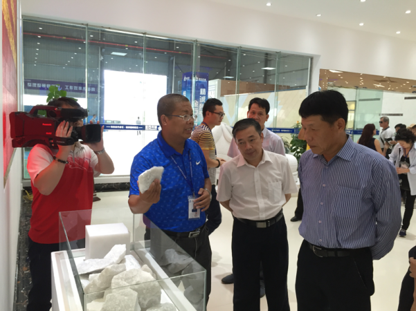 中国国民党中常委暨桃园市党代表到贺州旺高工业园区考察