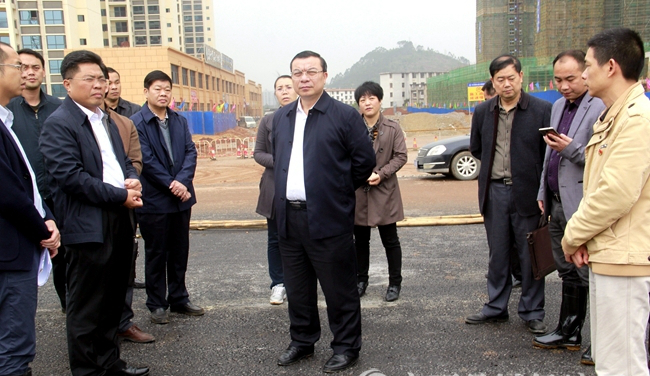 贺州市领导调研平桂区重点项目建设进展情况