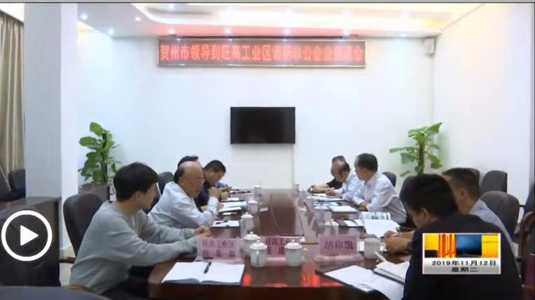 坚持问题导向，为企业分忧解难！广西贺州市调研组到旺高工业区开展非公企业调研！